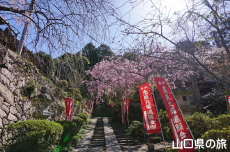 �≮�R�n���@�̍�