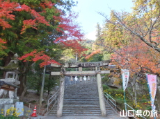 山口大神宮の紅葉
