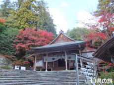 山口大神宮の紅葉