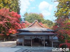 山口大神宮の紅葉