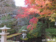 山口大神宮の紅葉
