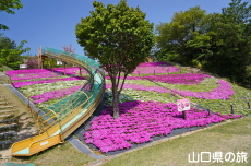 �X���[�v�X���C�_�[