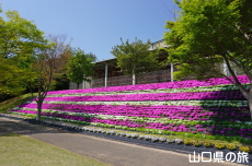 �Z�~�i�[�p�[�N�̎ō�