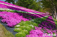 �Z�~�i�[�p�[�N�̎ō�