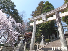 �������{�̎}�����