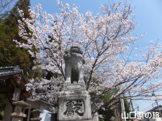 �������{�̍�