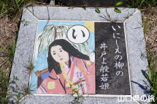 䂢͂邽