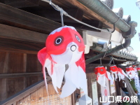 金魚ちょうちん