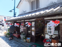 白壁の町並みと金魚ちょうちん