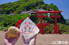 イカ大いなり寿司