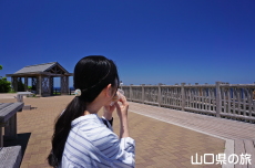 イカ大いなり寿司を食べる