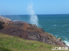 龍宮の潮吹