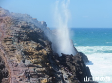龍宮の潮吹