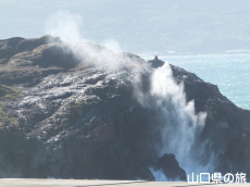 龍宮の潮吹