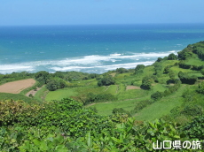 中ノ森地区の棚田