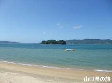 伊上海浜公園YYビーチ350