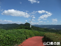 RW]