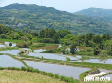 東後畑の棚田